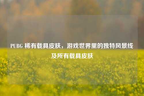 PUBG 稀有载具皮肤，游戏世界里的独特风景线及所有载具皮肤
