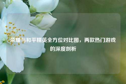 荣耀与和平精英全方位对比图,两款热门游戏的深度剖析