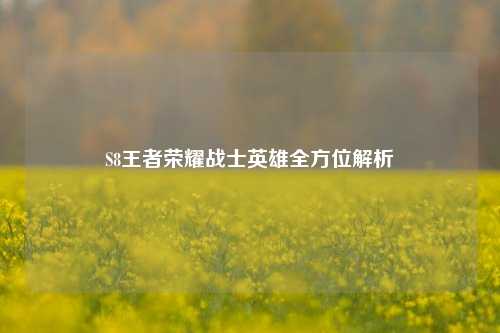 S8王者荣耀战士英雄全方位解析