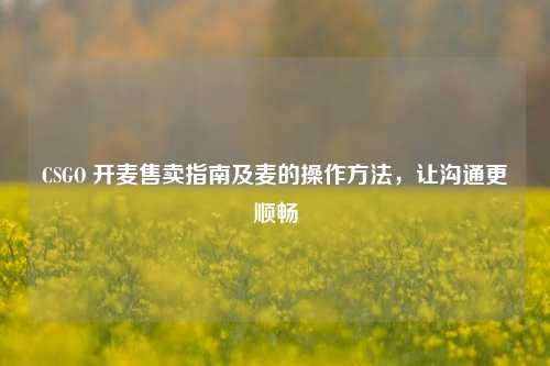 CSGO 开麦售卖指南及麦的操作方法，让沟通更顺畅