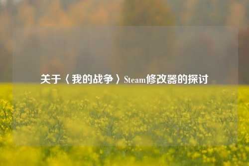 关于〈我的战争〉Steam修改器的探讨