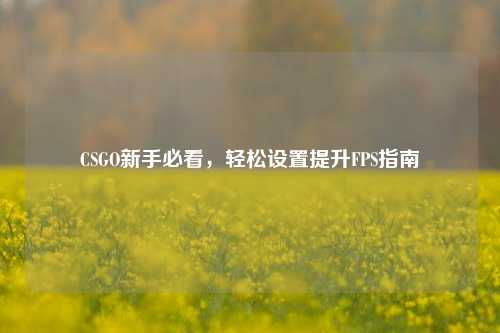 CSGO新手必看,轻松设置提升FPS指南