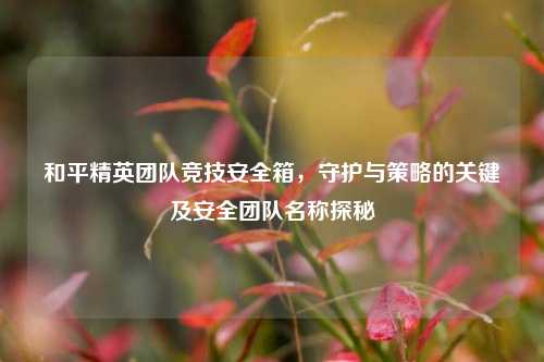 和平精英团队竞技安全箱，守护与策略的关键及安全团队名称探秘