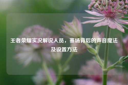 王者荣耀实况解说人员，赛场背后的声音魔法及设置方法