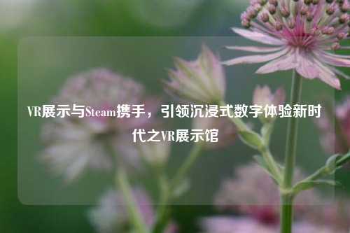 VR展示与Steam携手，引领沉浸式数字体验新时代之VR展示馆