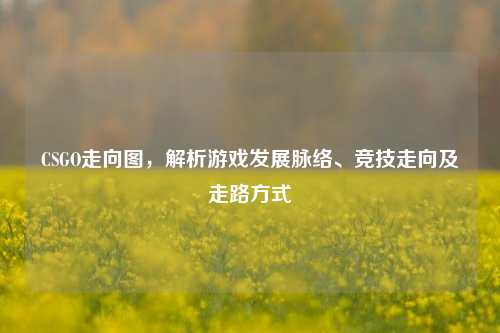 CSGO走向图，解析游戏发展脉络、竞技走向及走路方式