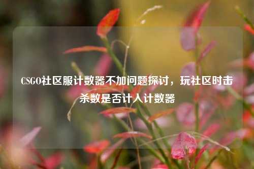 CSGO社区服计数器不加问题探讨，玩社区时击杀数是否计入计数器