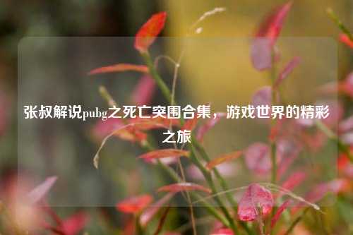 张叔解说pubg之死亡突围合集，游戏世界的精彩之旅