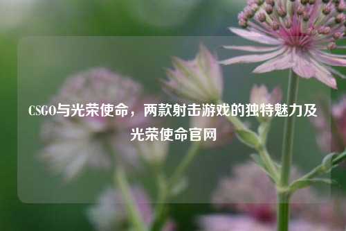 CSGO与光荣使命，两款射击游戏的独特魅力及光荣使命官网