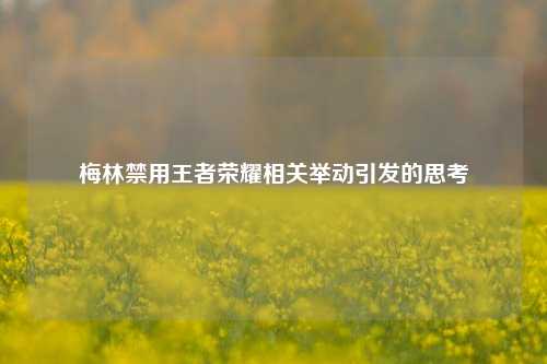 梅林禁用王者荣耀相关举动引发的思考