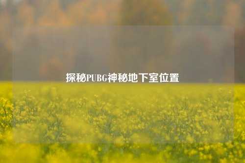 探秘PUBG神秘地下室位置