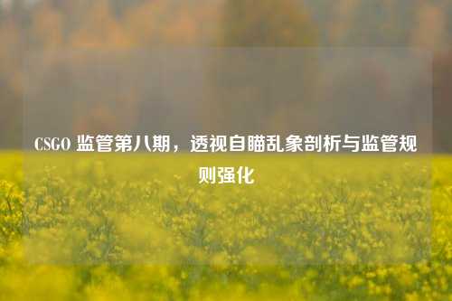 CSGO 监管第八期，透视自瞄乱象剖析与监管规则强化