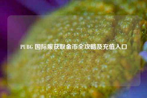 PUBG 国际服获取金币全攻略及充值入口