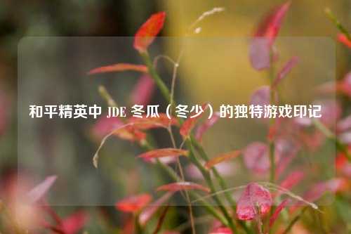 和平精英中 JDE 冬瓜（冬少）的独特游戏印记