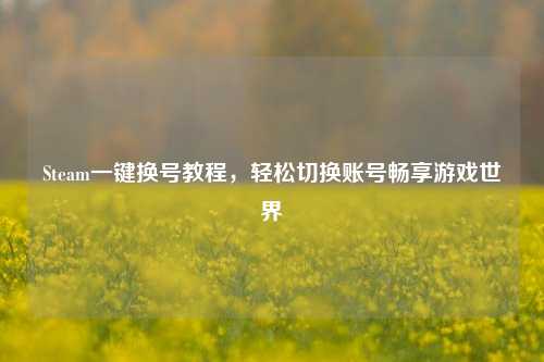 Steam一键换号教程，轻松切换账号畅享游戏世界