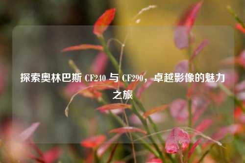 探索奥林巴斯 CF240 与 CF290，卓越影像的魅力之旅