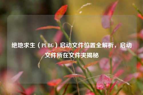 绝地求生(PUBG)启动文件位置全解析,启动文件所在文件夹揭秘