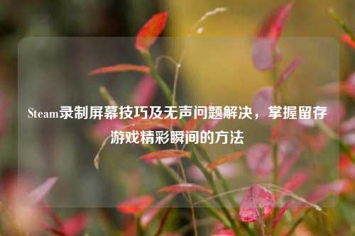 Steam录制屏幕技巧及无声问题解决，掌握留存游戏精彩瞬间的方法