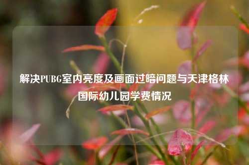 解决PUBG室内亮度及画面过暗问题与天津格林国际幼儿园学费情况