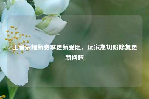 王者荣耀新赛季更新受阻,玩家急切盼修复更新问题