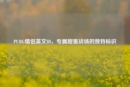 PUBG情侣英文ID,专属甜蜜战场的独特标识