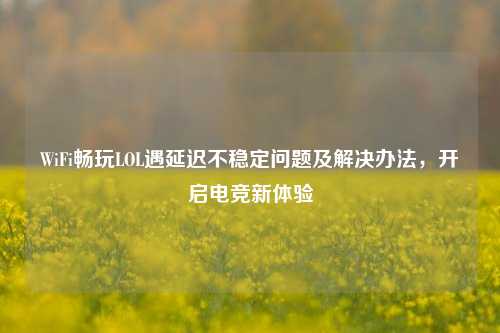 WiFi畅玩LOL遇延迟不稳定问题及解决办法，开启电竞新体验
