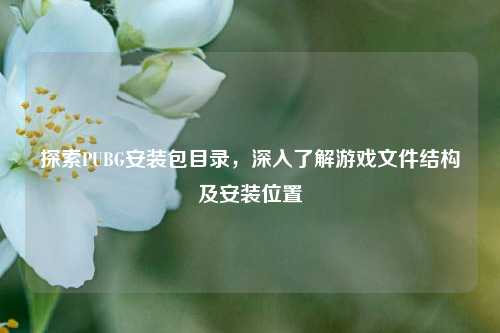 探索PUBG安装包目录,深入了解游戏文件结构及安装位置