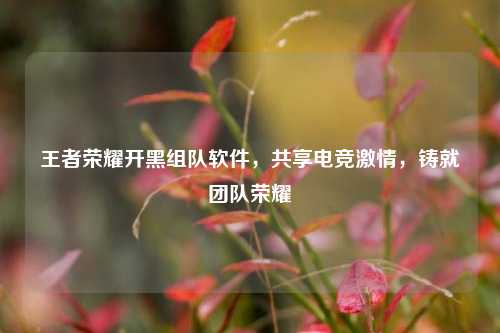 王者荣耀开黑组队软件,共享电竞激情,铸就团队荣耀