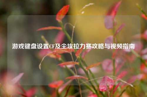 游戏键盘设置CF及尘埃拉力赛攻略与视频指南