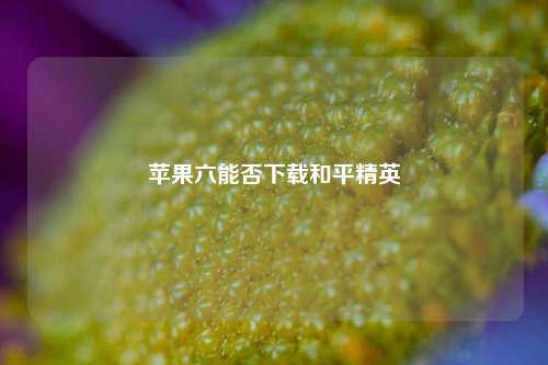 苹果六能否下载和平精英