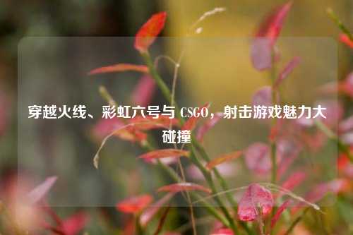 穿越火线、彩虹六号与 CSGO,射击游戏魅力大碰撞