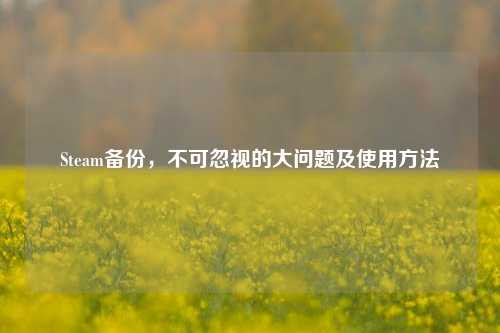 Steam备份,不可忽视的大问题及使用方法