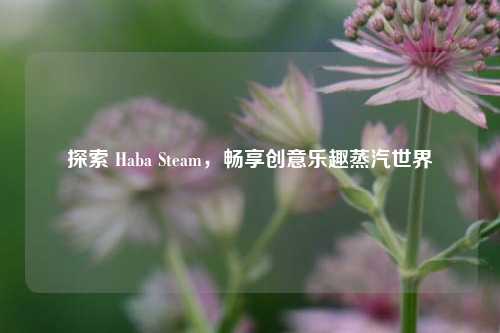 探索 Haba Steam,畅享创意乐趣蒸汽世界