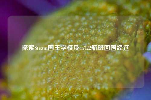 探索Steam国王学校及ca722航班回国经过