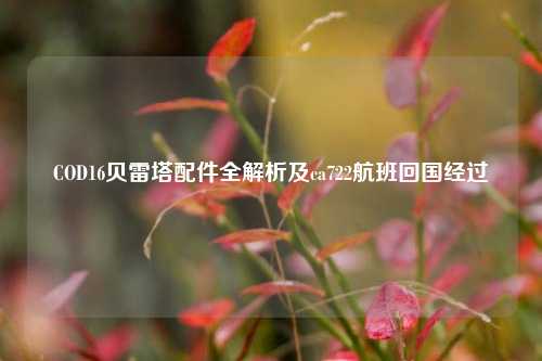 COD16贝雷塔配件全解析及ca722航班回国经过