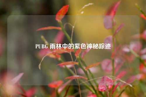 PUBG 雨林中的紫色神秘踪迹