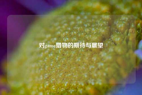 对game猎物的期待与展望