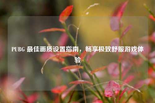 PUBG 最佳画质设置指南,畅享极致舒服游戏体验