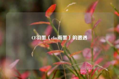 CF羽墨（cfm雨墨）的遭遇
