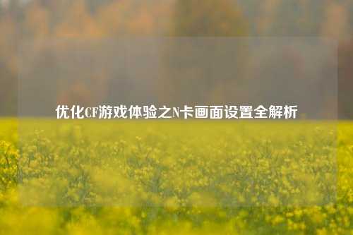 优化CF游戏体验之N卡画面设置全解析