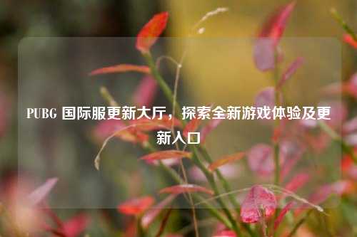 PUBG 国际服更新大厅，探索全新游戏体验及更新入口