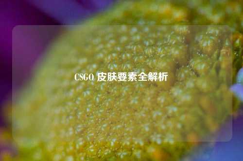CSGO 皮肤要素全解析