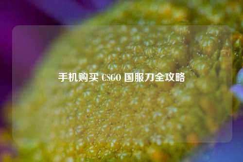 手机购买 CSGO 国服刀全攻略