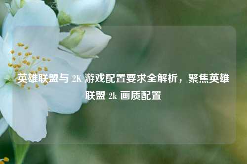 英雄联盟与 2K 游戏配置要求全解析，聚焦英雄联盟 2k 画质配置