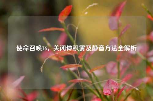 使命召唤16,关闭体积雾及静音方法全解析