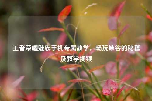 王者荣耀魅族手机专属教学,畅玩峡谷的秘籍及教学视频