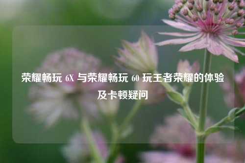 荣耀畅玩 6X 与荣耀畅玩 60 玩王者荣耀的体验及卡顿疑问
