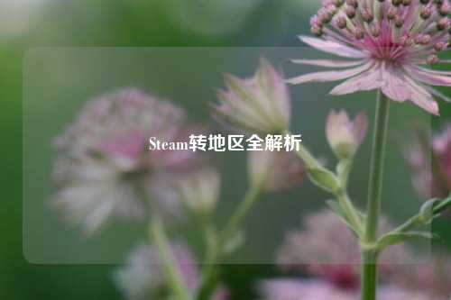 Steam转地区全解析