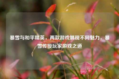 暴雪与和平精英,两款游戏展现不同魅力,暴雪传授玩家游戏之道