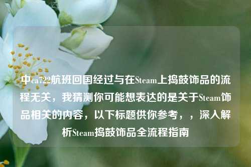 中ca722航班回国经过与在Steam上捣鼓饰品的流程无关，我猜测你可能想表达的是关于Steam饰品相关的内容，以下标题供你参考，，深入解析Steam捣鼓饰品全流程指南